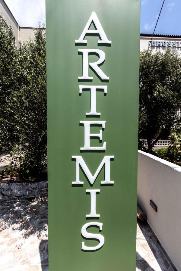 Pansion Artemis Apartment Mavrovouni  Bagian luar foto