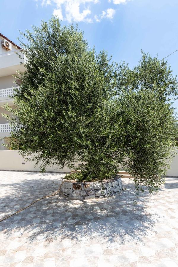 Pansion Artemis Apartment Mavrovouni  Bagian luar foto